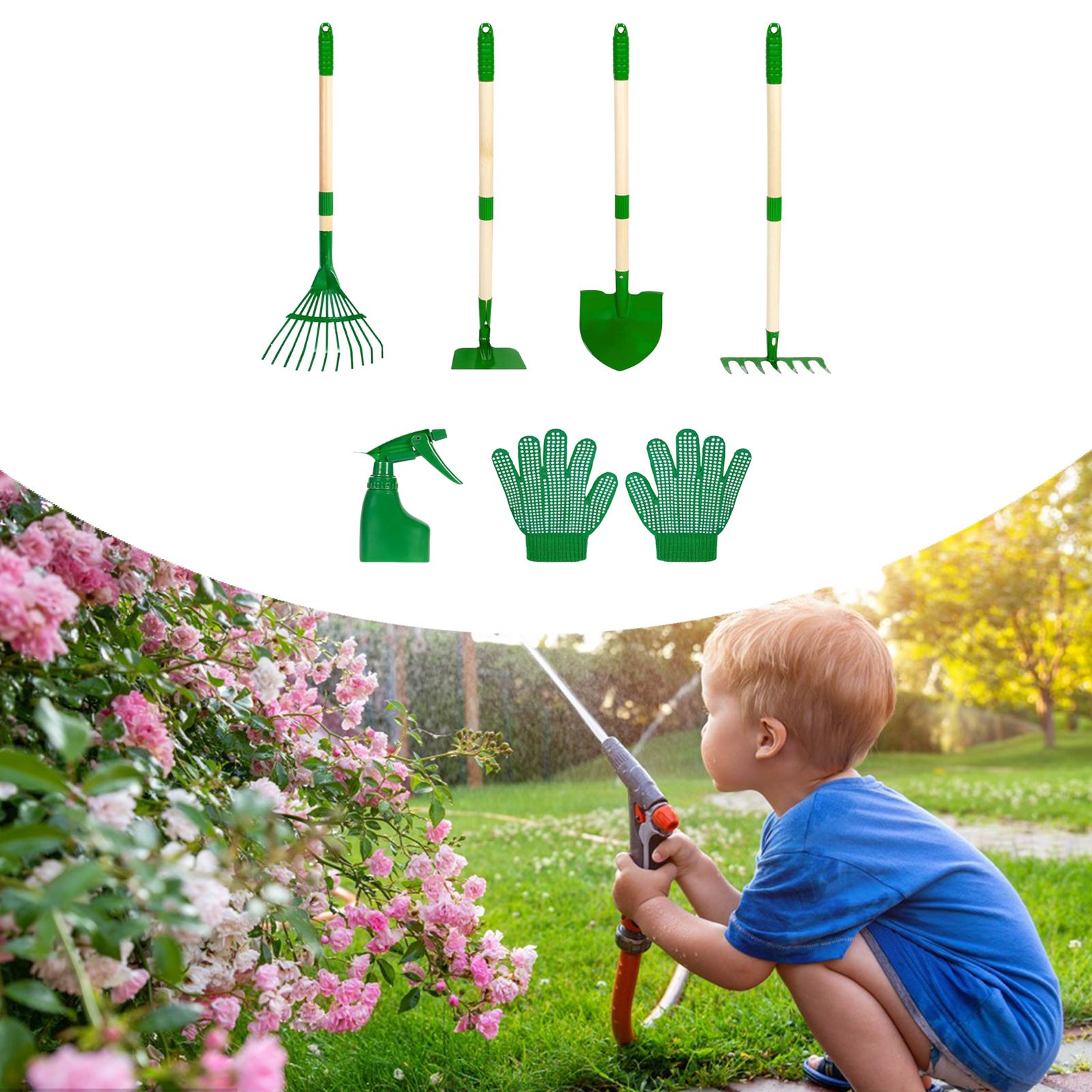 Conjunto de Ferramentas de Jar - Kids Outdoor Learning Activities avaliação e preço