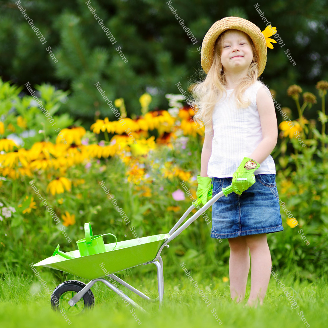 Carrinho de Mão Infantil para  - Kids Outdoor Play avaliação e preço