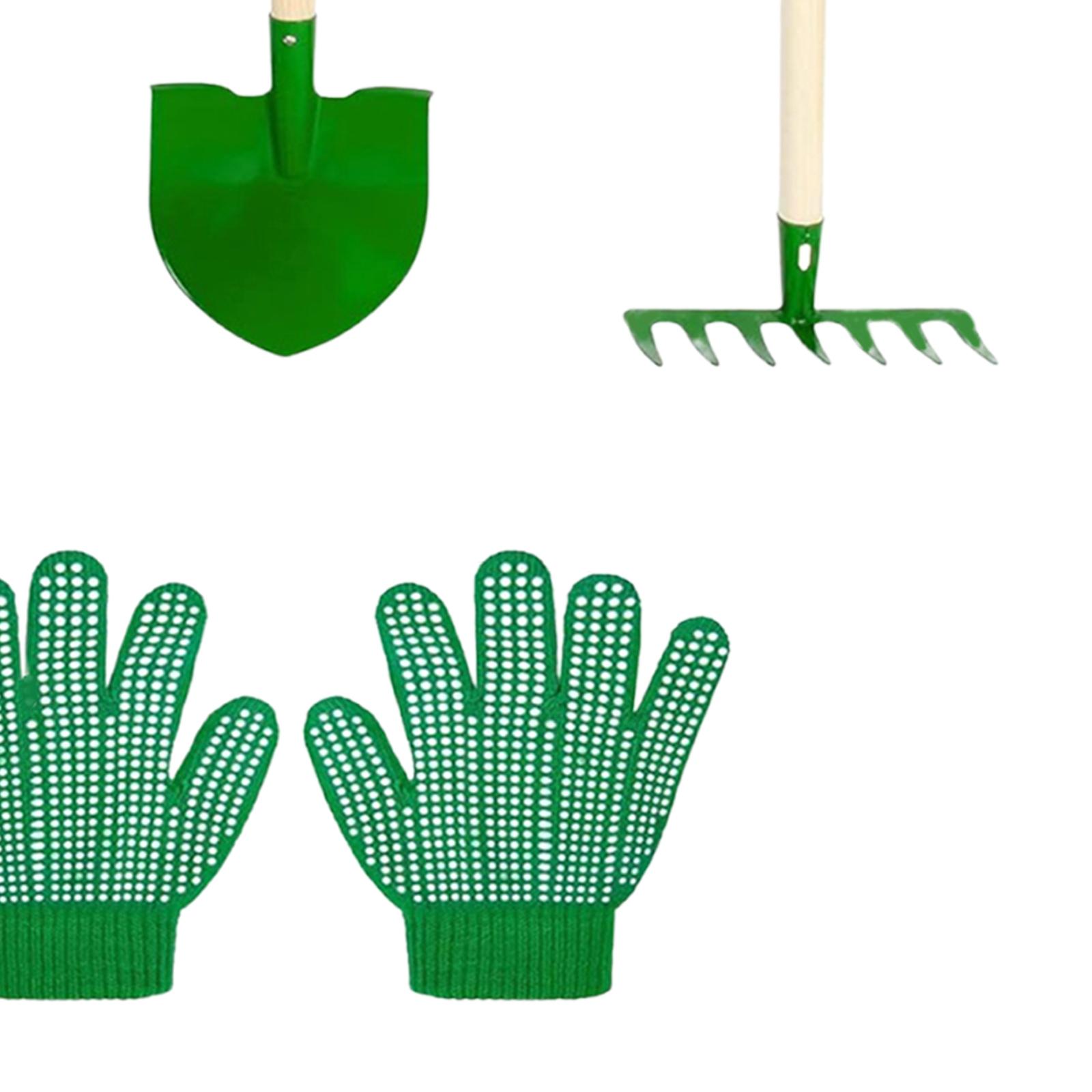 Conjunto de Ferramentas de Jar - Kids Outdoor Learning Activities avaliação e preço